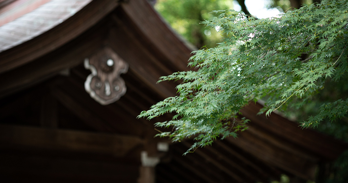 砥鹿神社とは｜三河國一之宮「砥鹿神社」愛知県豊川市